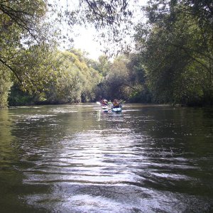 imgp2467