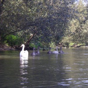 imgp2481