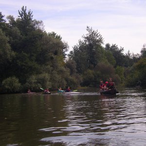 imgp2488