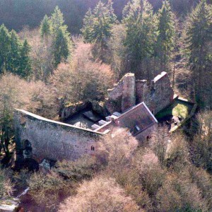 wilenstein03