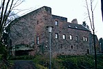 wilenstein2
