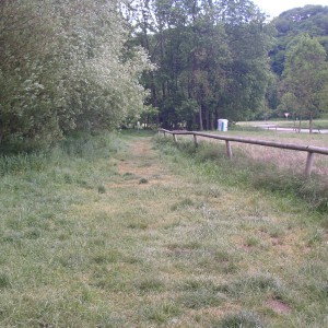 imgp3714