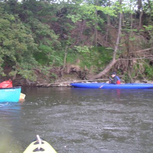 imgp3731