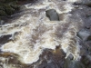 dscf5295