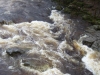 dscf5296