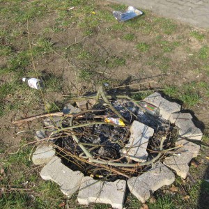 feuerstelle-03-2012