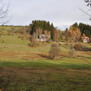 dsc_0223-mittel