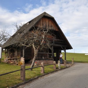 dsc_0254-mittel