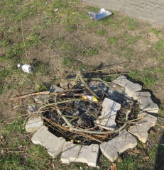 feuerstelle-03-2012