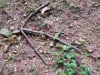 2016-01-09 10.33.35 (Large)