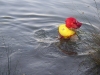 imgp3761