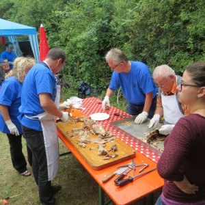IMG_4180 (Large)