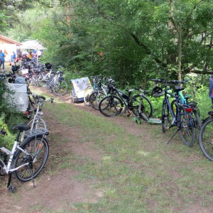 IMG_4199 (Large)