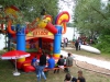 IMG_2729 (Large)
