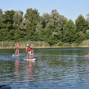DSC_3682 - Kopie