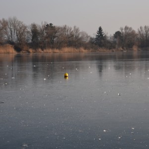 DSC_1465