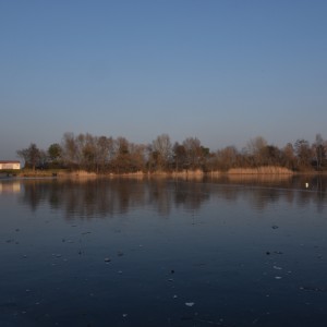 DSC_1467