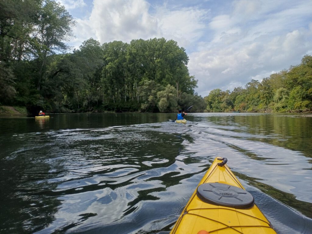 Lingenfelder Altrhein